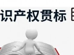 知識產(chǎn)權(quán)貫標(biāo)申請條件、流程、貫標(biāo)輔導(dǎo)周期一覽